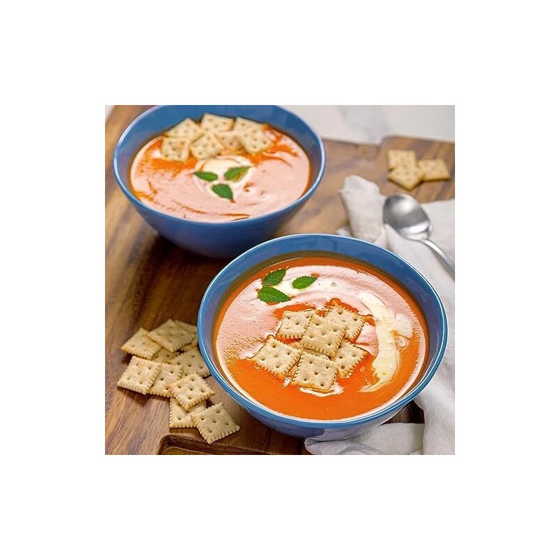 Premium Pack of 6 Premium Mini Saltine Crackers 11oz Light