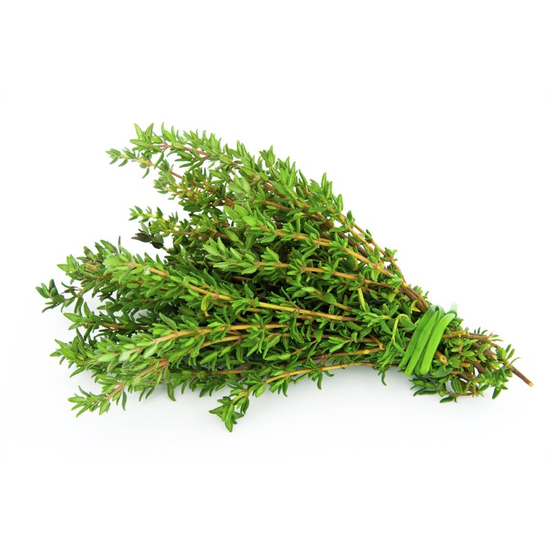 NIKA SEEDS - Herbs Thyme Garden Common Heirloom - 500