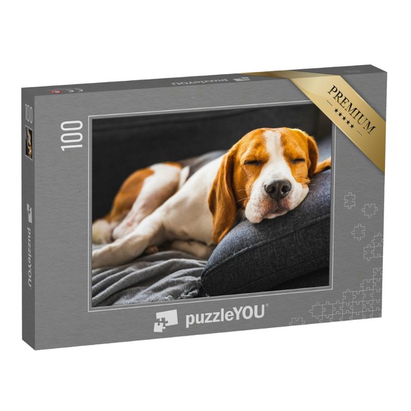puzzleYOU: Jigsaw Puzzle 100 Piece "Adorable Beagle on the Sofa,