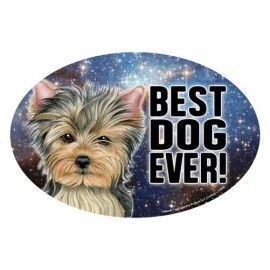 Yorkie best dog ever! Cute Oval 4"x6" Fridge Car Magnet Large Size USA Made New