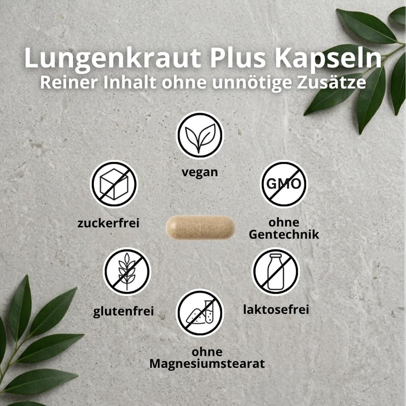Lungwort Capsules - 5 Compartments Combination with Eucalyptus and NAC