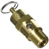Milton S-1090-150 1/4" MNPT ASME Safety Valve - 150 PSI