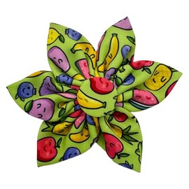 Huxley & Kent Pet Pinwheel | Tutti Fruity (Large) | Spring Bow Collar Attachment | Fun Collar Accessory for Dogs & Cats | Cute, Comfortable, and Durable | H&K