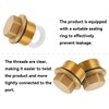 AOYEGIC Pack of 2 brass plugs, 3/4 inch male thread