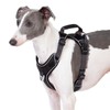 APDEXY No Pull Dog Harness with 2 Leash Clips, Reflective