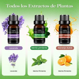 Aceites esenciales 100% naturales 6 piezas – Lavanda, Naranja, Eucalipto, Árbol de té, Limón y Menta