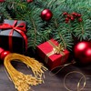 VEYLIN 100 Pcs 20cm Christmas Ornament Hanger String, Rope Fasteners