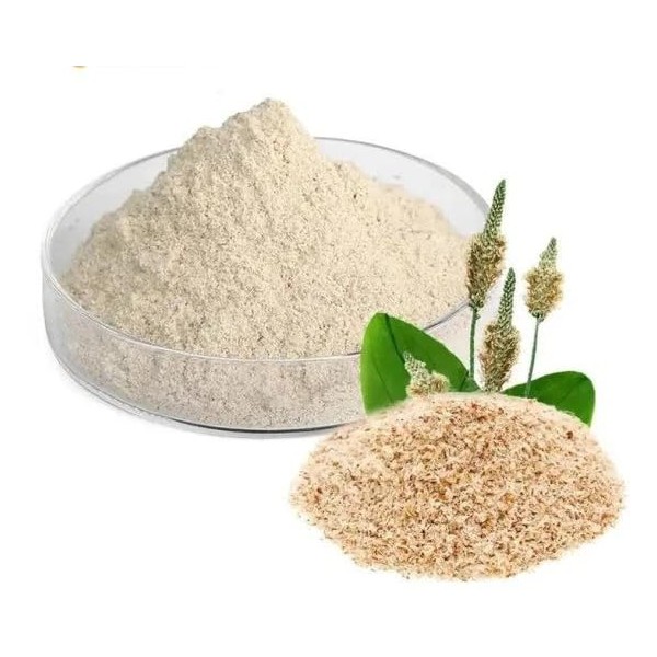PURIMA Psyllium Husk Powder 1kg - 99% Purity Blond Powdered