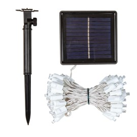 Novelty Lights 50 Light Solar LED Christmas Mini Light Set, Warm White, Outdoor String Lights, White Wire, 12.5 Feet