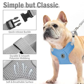 Dog Harness with Leash Set, No-Pull Pet Harness with 1 Leash Clips, Adjustable Soft Padded Pet Vest for Small Medium Dogs No Pull, Puppy Harness and Leash Set