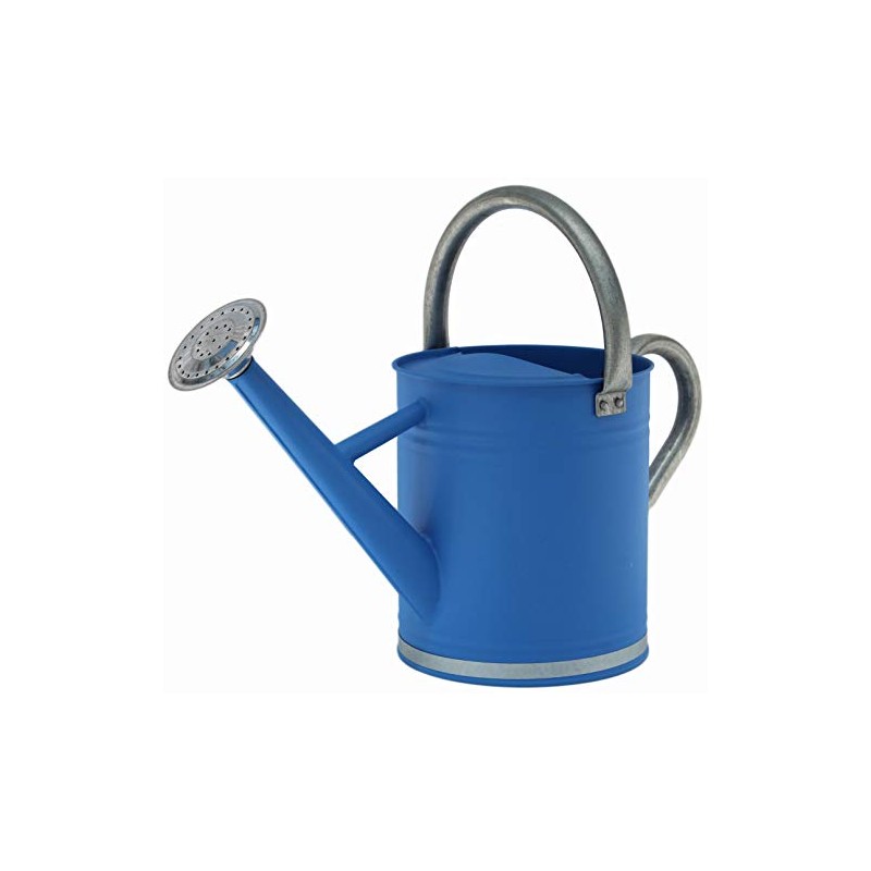 Gardener Select (W3003GT-DB-6) Metal Watering Can - Modern Indoor &