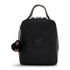 Kipling Womens Women's Lyla Bag, Insulated Reusable Tote, Tote Lunch