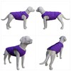 Dog Winter Jacket, Waterproof Windproof Dog Winter Vest Super Warm