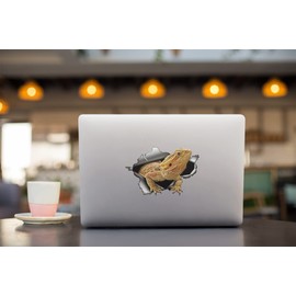 Bearded Dragon Animal Pet Sticker Graphic Decal Sticker 5"