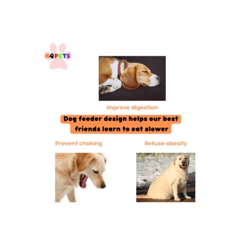 BFSEALS WHOLESALE Bulk Pack - 48 MEDIUM Slow Feeder Pet