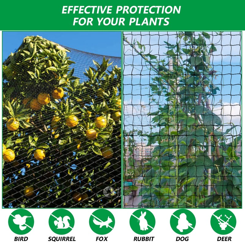 elfinrm 25ft x 50ft Bird Netting, Garden Netting 1 Inch