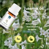 Tuberose Essential Oil, Home Fragrance Oil, Candle Scents Soy Wax