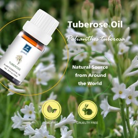 Tuberose Essential Oil, Home Fragrance Oil, Candle Scents Soy Wax Candle Making, Freshie Scents Oils for Soap, Dryer Balls, Diffusers, Laundry, Slime -0.33 oz /10ml