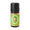 Rose Geranium Organic/The 10ml
