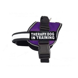 Doggie Stylz Therapy Dog in Training Nylon Dog Vest Harness. Purchase Comes with 2 Reflective Therapy Dog in Training pathces. Please Measure Your Dog Before Ordering (Girth 28-38", Purple)