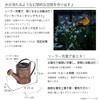 Takeda Corporation WTRG-81 Garden Solar Light Light, Gold, 3.9 x