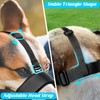 HEELE Dog Muzzle with Head Strap and Adjustable Loop and