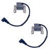 IGCLINIC 2Pcs Ignition Coil Compatible with Briggs & Stratton 401000