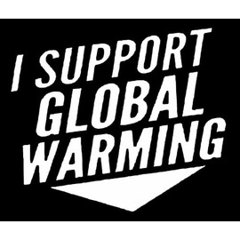 I Suppport Global Warming JDM Decal Vinyl Sticker|Cars Trucks Vans Walls Laptop| White |5.5 x 5 in|LLI338