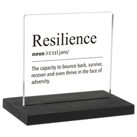 Inspirational Office Decor Sign for Cubicle Decor or Desk Decorations, Motivational Office Desk Décor for Home Office, Resilience Definition Office Gifts for Women Coworker Employee Friend, DSF69