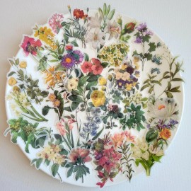 Unbranded 240pcs Flower/Butterf