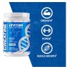 Evogen Creatina 300 Grs 60 Serv Sabor Sin Sabor