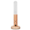 LED Motion Sensor Night Light Brightness Adjustable Portable USB Rechargeable
