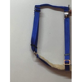 Adjustable Hog PIG Harness FLEESE PADDING Hand Made Metal Buckle