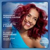 Clairol Nice N Easy Permanent Bold Zero Ammonia Hair Dye
