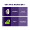 Host Defense MycoBrew Matcha Drink Mix with Lion's Mane Mushroom