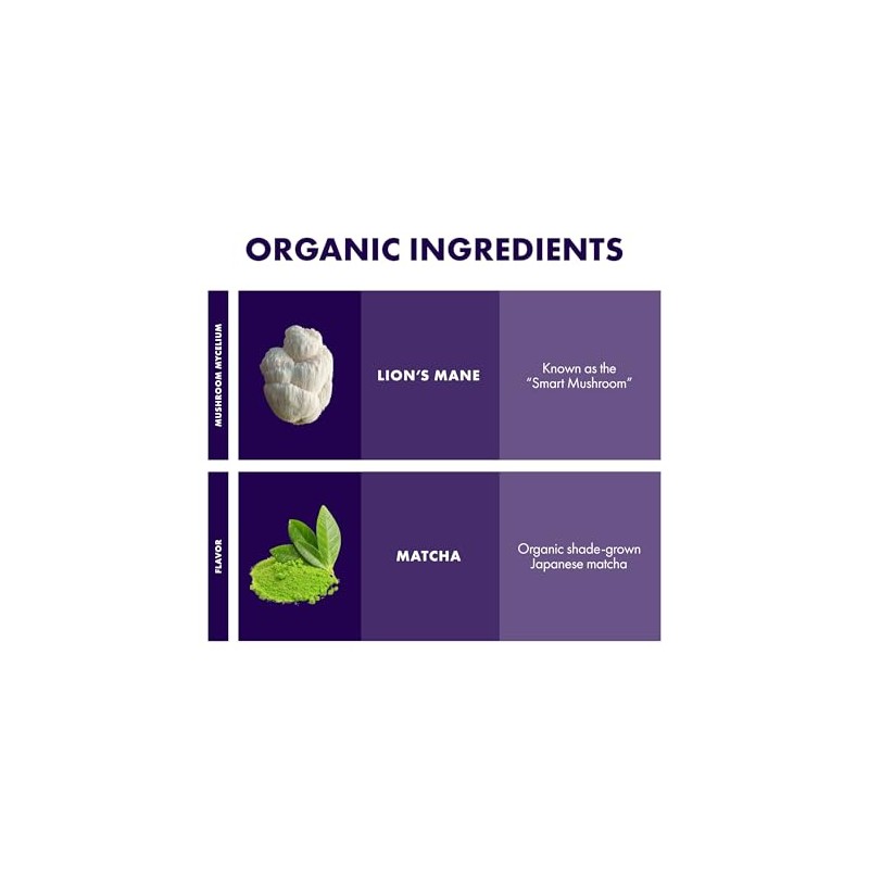 Host Defense MycoBrew Matcha Drink Mix with Lion's Mane Mushroom