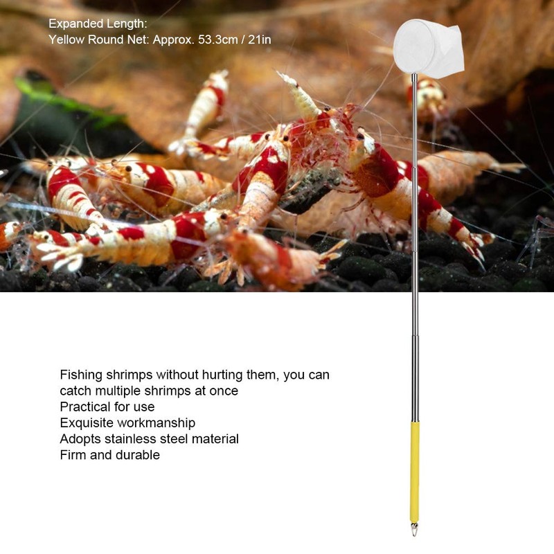 Small Aquarium Fish Net, Telescopic Pole Fish Shrimp Catch Skimming
