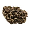 Amyco- Dried Morel Mushrooms, Dehydrated Canadian Wild Harvested 150 Grams