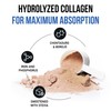 VITASEI Hydrolyzed Collagen Powder for Men - BCAA Enriched with