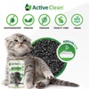 Active Clean Plus Kedi Kumu Koku Giderici 420 gram