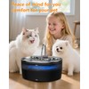 Stainless Steel Cat Fountain Drinking Fountain with LED Light, 3.2