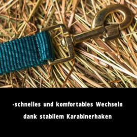 Halter for Horses Warmblood, Thoroughbred, Cold Blood - Stable Halter, Pasture Halter, 2 Adjustable Positions on Chin Strap and Headpiece, Safe and Tear-Resistant (Dark Green, Mini Shetty)