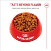 Royal Canin Breed Health Nutrition Yorkshire Terrier Adult Dry Dog