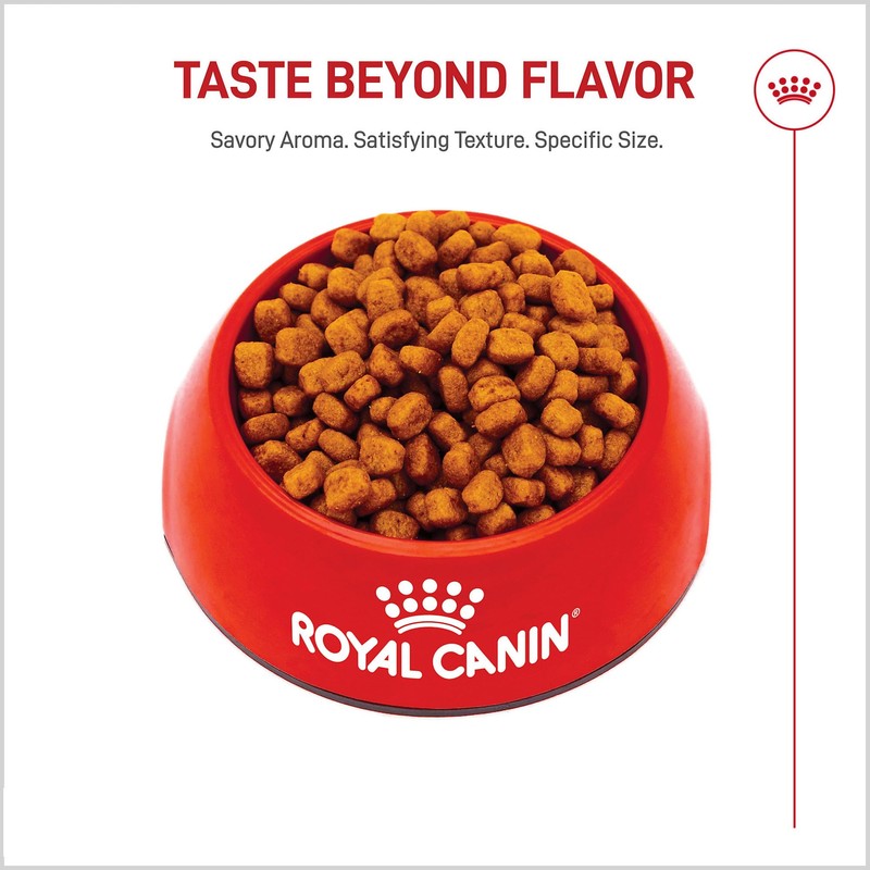 Royal Canin Breed Health Nutrition Yorkshire Terrier Adult Dry Dog