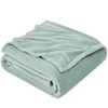EHEYCIGA Fleece Blanket Throws for Sofas Fluffy Warm Soft Blanket