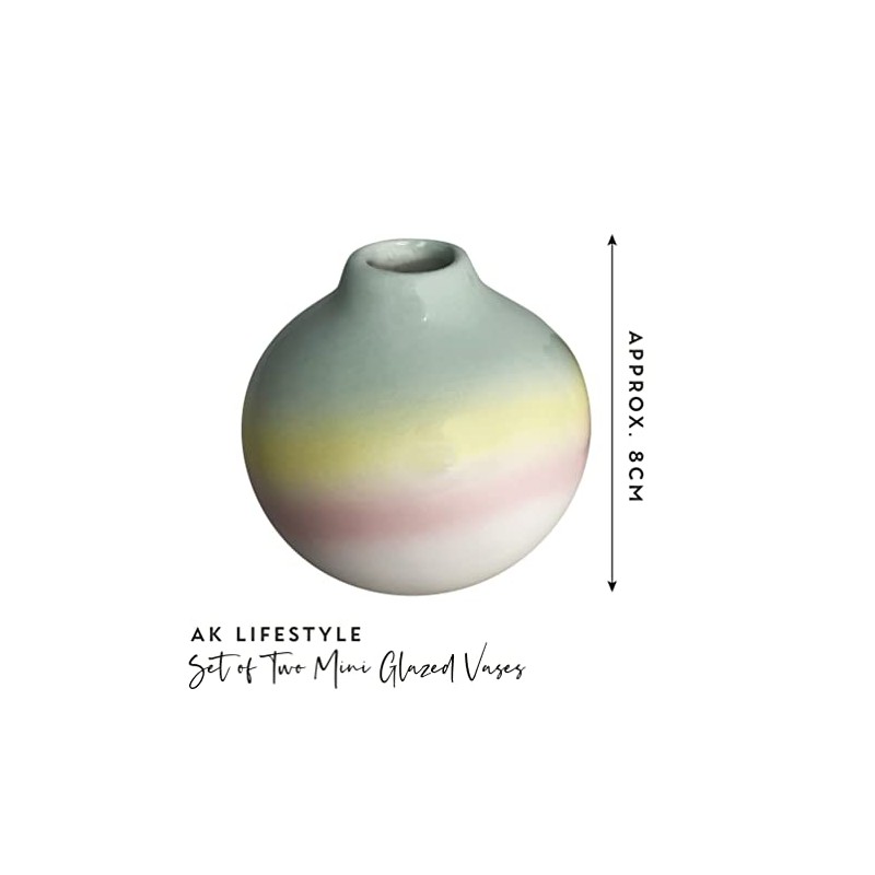 A K Lifestyle Mini Ombre Bud Vases Set of 2pcs
