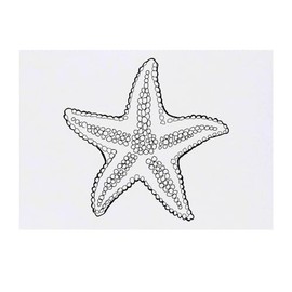 'Beautiful Starfish' Temporary Tattoo - Water Resistant, Skin-Safe, Non-Toxic Transfer (TO00072533)