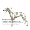 Extra Soft Martingale Dog Collar and Leash Set for Greyhound