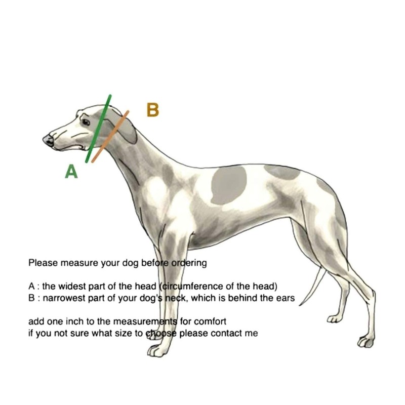 Extra Soft Martingale Dog Collar and Leash Set for Greyhound