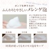 Beakers Foaming Face Wash, Mild Meringue Wash, 6.8 fl oz